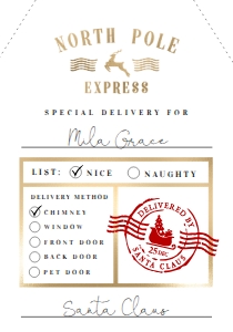 NRP-WHT-6-B1391 - NORTH POLE - WHITE - NORTH POLE EXPRESS GIFT TAG - 3.5" x 5": NRP-WHT-6-B1391 - NORTH POLE - WHITE - NORTH POLE EXPRESS GIFT TAG