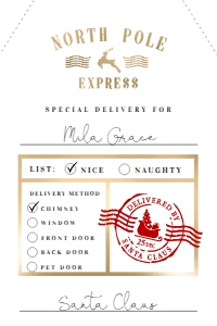 NRP-WHT-6-B1391 - NORTH POLE - WHITE - NORTH POLE EXPRESS GIFT TAG - 4" x 6": NRP-WHT-6-B1391 - NORTH POLE - WHITE - NORTH POLE EXPRESS GIFT TAG