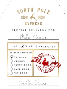 NRP-WHT-6-B1391 - NORTH POLE - WHITE - NORTH POLE EXPRESS GIFT TAG - 3" x 4": NRP-WHT-6-B1391 - NORTH POLE - WHITE - NORTH POLE EXPRESS GIFT TAG