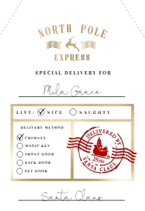 NRP-WHT-6-B1391 - NORTH POLE - WHITE - NORTH POLE EXPRESS GIFT TAG - 2.75" x 4": NRP-WHT-6-B1391 - NORTH POLE - WHITE - NORTH POLE EXPRESS GIFT TAG