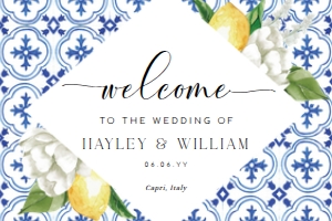 MED-BLU-3-B070 - THE MED LEMONS - WELCOME SIGN - LANDSCAPE - 24" x 36": MED-BLU-3-B070 - THE MED LEMONS - WELCOME SIGN