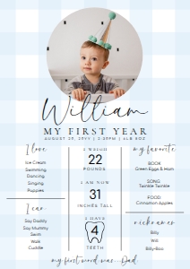 GIN-BLU-7-B1590 - GINGHAM - BLUE - MILESTONE SIGN - A2: GIN-BLU-7-B1590 - GINGHAM - BLUE - MILESTONE SIGN