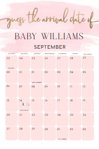WAT-PNK-10-B1602 - WATERCOLOUR PINK - GOLD - GUESS THE ARRIVAL DATE SIGN - 24" x 36": WAT-PNK-10-B1602 - WATERCOLOUR PINK - GOLD - GUESS THE ARRIVAL DATE SIGN