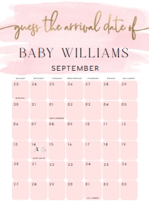 WAT-PNK-10-B1602 - WATERCOLOUR PINK - GOLD - GUESS THE ARRIVAL DATE SIGN - A2: WAT-PNK-10-B1602 - WATERCOLOUR PINK - GOLD - GUESS THE ARRIVAL DATE SIGN