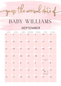 WAT-PNK-10-B1602 - WATERCOLOUR PINK - GOLD - GUESS THE ARRIVAL DATE SIGN - A1: WAT-PNK-10-B1602 - WATERCOLOUR PINK - GOLD - GUESS THE ARRIVAL DATE SIGN