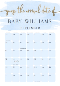 WAT-BLU-10-B1602 - WATERCOLOUR BLUE - GOLD - GUESS THE ARRIVAL DATE SIGN - A2: WAT-BLU-10-B1602 - WATERCOLOUR BLUE - GOLD - GUESS THE ARRIVAL DATE SIGN