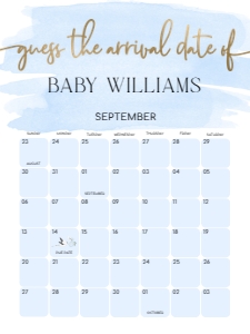 WAT-BLU-10-B1602 - WATERCOLOUR BLUE - GOLD - GUESS THE ARRIVAL DATE SIGN - 18" x 24": WAT-BLU-10-B1602 - WATERCOLOUR BLUE - GOLD - GUESS THE ARRIVAL DATE SIGN