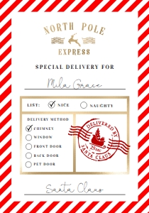 NRP-RWT-6-B1391 - NORTH POLE - RED WHITE - NORTH POLE EXPRESS GIFT TAG - 3.5" x 5": NRP-RWT-6-B1391 - NORTH POLE - RED WHITE - NORTH POLE EXPRESS GIFT TAG