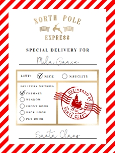 NRP-RWT-6-B1391 - NORTH POLE - RED WHITE - NORTH POLE EXPRESS GIFT TAG - 3" x 4": NRP-RWT-6-B1391 - NORTH POLE - RED WHITE - NORTH POLE EXPRESS GIFT TAG