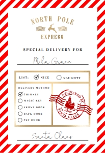 NRP-RWT-6-B1391 - NORTH POLE - RED WHITE - NORTH POLE EXPRESS GIFT TAG - 2.75" x 4": NRP-RWT-6-B1391 - NORTH POLE - RED WHITE - NORTH POLE EXPRESS GIFT TAG