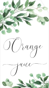 EVE-GRE-6-B1774 - EVERLY - GREEN - MIMOSA BAR JUICE TAGS - 8cm x 4.5cm: EVE-GRE-7-B1773 - EVERLY - GREEN - MOMOSA BAR SIGN