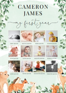 WOD-GRE-7-B1933 - WOODLAND - GREEN - MY FIRST YEAR PHOTO SIGN - A1: WOD-GRE-7-B1933 - WOODLAND - GREEN - MY FIRST YEAR PHOTO SIGN
