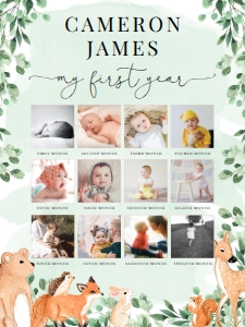 WOD-GRE-7-B1933 - WOODLAND - GREEN - MY FIRST YEAR PHOTO SIGN - 18" x 24": WOD-GRE-7-B1933 - WOODLAND - GREEN - MY FIRST YEAR PHOTO SIGN