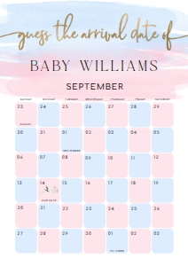 WAT-PNB-10-B1602 - WATERCOLOUR PINK BLUE - GOLD - GUESS THE ARRIVAL DATE SIGN - A1: WAT-PNB-10-B1602 - WATERCOLOUR PINK BLUE - GOLD - GUESS THE ARRIVAL DATE SIGN