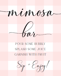 GIN-PNK-7-B1975 - GINGHAM - PINK - MIMOSA BAR SIGN - 8" x 10": GIN-PNK-7-B1975 - GINGHAM - PINK - MIMOSA BAR SIGN AND JUICE TAGS