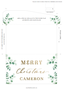 FER-GRE-14-B2409 - FERRAS - GREEN - CHRISTMAS MONEY WALLET - A4: FER-GRE-14-B2409 - FERRAS - GREEN - CHRISTMAS MONEY WALLET