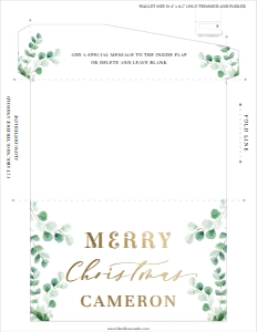 FER-GRE-14-B2409 - FERRAS - GREEN - CHRISTMAS MONEY WALLET - LETTER: FER-GRE-14-B2409 - FERRAS - GREEN - CHRISTMAS MONEY WALLET
