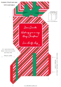 STR-RGP-14-B2430 - STRIPE - RED GREEN PINK - PRESENT BOX MONEY WALLET - A4: STR-RGP-14-B2430 - STRIPE - RED GREEN PINK - PRESENT BOX MONEY WALLET