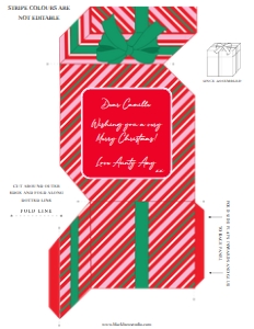 STR-RGP-14-B2430 - STRIPE - RED GREEN PINK - PRESENT BOX MONEY WALLET - LETTER: STR-RGP-14-B2430 - STRIPE - RED GREEN PINK - PRESENT BOX MONEY WALLET