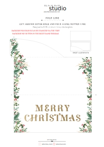 MER-WHT-14-B2449 - MERRIMENT CHRISTMS - WHITE - GIFT CERTIFICATE HOLDER - A3: MER-WHT-1-B1618 - MERRIMENT CHRISTMAS - WHITE - CHRISTMAS BOARDING PASS