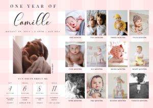 GIN-PNK-7-B2577 - GINGHAM - PINK - PHOTO TIMELINE AND MILESTONE SIGN - A1: GIN-PNK-7-B2577 - GINGHAM - PINK - PHOTO TIMELINE AND MILESTONE SIGN