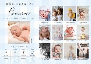GIN-BLU-7-B2577 - GINGHAM - BLUE - PHOTO TIMELINE AND MILESTONE SIGN - A1: GIN-BLU-7-B2577 - GINGHAM - BLUE - PHOTO TIMELINE AND MILESTONE SIGN