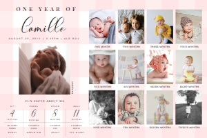 GIN-PNK-7-B2577 - GINGHAM - PINK - PHOTO TIMELINE AND MILESTONE SIGN - 24" x 36": GIN-PNK-7-B2577 - GINGHAM - PINK - PHOTO TIMELINE AND MILESTONE SIGN