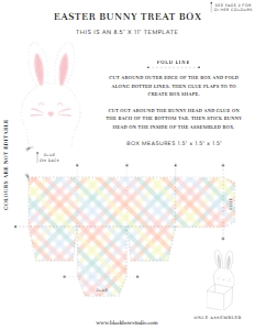 GIN-MLT-6-B2620 - GINGHAM - MULTI - EASTER BUNNY HEAD BOX - LETTER: GIN-MLT-6-B2620 - GINGHAM - MULTI - EASTER BUNNY HEAD BOX