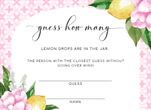 MED-PNK-10-B286 - THE MED - PINK LEMONS - GUESS HOW MANY CARD - ARCH - 4" x 5.5": MED-PNK-7-B2663 - THE MED - PINK LEMONS - GUESS HOW MANY SIGN AND CARD - ARCH