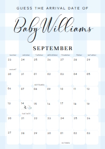 GIN-BLU-10-B2762 - GINGHAM - BLUE - GUESS THE ARRIVAL DATE SIGN - A1: GIN-BLU-10-B2762 - GINGHAM - BLUE - GUESS THE ARRIVAL DATE SIGN