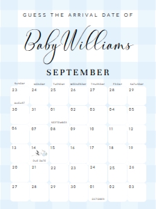 GIN-BLU-10-B2762 - GINGHAM - BLUE - GUESS THE ARRIVAL DATE SIGN - 18" x 24": GIN-BLU-10-B2762 - GINGHAM - BLUE - GUESS THE ARRIVAL DATE SIGN