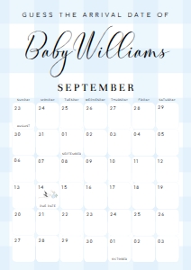 GIN-BLU-10-B2762 - GINGHAM - BLUE - GUESS THE ARRIVAL DATE SIGN - A2: GIN-BLU-10-B2762 - GINGHAM - BLUE - GUESS THE ARRIVAL DATE SIGN