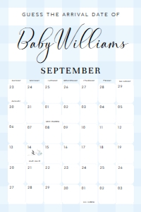 GIN-BLU-10-B2762 - GINGHAM - BLUE - GUESS THE ARRIVAL DATE SIGN - 24" x 36": GIN-BLU-10-B2762 - GINGHAM - BLUE - GUESS THE ARRIVAL DATE SIGN