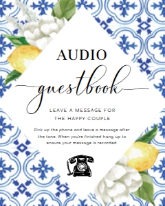 MED-BLU-7-B2801 - THE MED - LEMONS - AUDIO GUESTBOOK SIGN - 8" x 10": MED-BLU-7-B2801 - THE MED - LEMONS - AUDIO GUESTBOOK SIGN