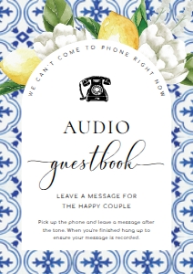 MED-BLU-7-B2802 - THE MED - LEMONS - AUDIO GUESTBOOK SIGN - ARCH - A4: MED-BLU-7-B2802 - THE MED - LEMONS - AUDIO GUESTBOOK SIGN - ARCH