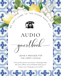 MED-BLU-7-B2802 - THE MED - LEMONS - AUDIO GUESTBOOK SIGN - ARCH - 8" x 10": MED-BLU-7-B2802 - THE MED - LEMONS - AUDIO GUESTBOOK SIGN - ARCH