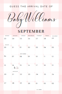 GIN-PNK-10-B2762 - GINGHAM - PINK - GUESS THE ARRIVAL DATE SIGN - 24" x 36": GIN-PNK-10-B2762 - GINGHAM - PINK - GUESS THE ARRIVAL DATE SIGN