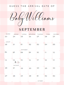 GIN-PNK-10-B2762 - GINGHAM - PINK - GUESS THE ARRIVAL DATE SIGN - 18" x 24": GIN-PNK-10-B2762 - GINGHAM - PINK - GUESS THE ARRIVAL DATE SIGN