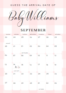 GIN-PNK-10-B2762 - GINGHAM - PINK - GUESS THE ARRIVAL DATE SIGN - A1: GIN-PNK-10-B2762 - GINGHAM - PINK - GUESS THE ARRIVAL DATE SIGN