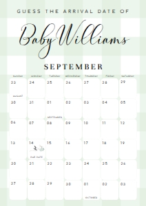 GIN-GRE-10-B2762 - GINGHAM - GREEN - GUESS THE ARRIVAL DATE SIGN - A2: GIN-GRE-10-B2762 - GINGHAM - GREEN - GUESS THE ARRIVAL DATE SIGN