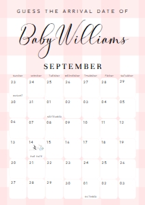 GIN-PNK-10-B2762 - GINGHAM - PINK - GUESS THE ARRIVAL DATE SIGN - A2: GIN-PNK-10-B2762 - GINGHAM - PINK - GUESS THE ARRIVAL DATE SIGN