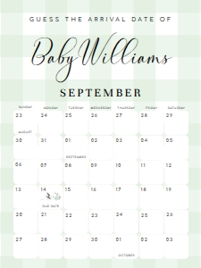 GIN-GRE-10-B2762 - GINGHAM - GREEN - GUESS THE ARRIVAL DATE SIGN - 18" x 24": GIN-GRE-10-B2762 - GINGHAM - GREEN - GUESS THE ARRIVAL DATE SIGN
