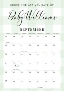 GIN-GRE-10-B2762 - GINGHAM - GREEN - GUESS THE ARRIVAL DATE SIGN - A1: GIN-GRE-10-B2762 - GINGHAM - GREEN - GUESS THE ARRIVAL DATE SIGN
