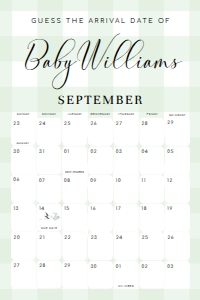 GIN-GRE-10-B2762 - GINGHAM - GREEN - GUESS THE ARRIVAL DATE SIGN - 24" x 36": GIN-GRE-10-B2762 - GINGHAM - GREEN - GUESS THE ARRIVAL DATE SIGN