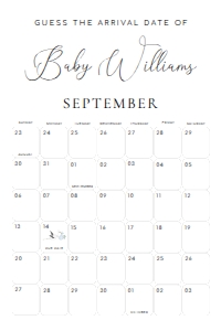 QSC-WHT-10-B2824 - QUINN SCRIPT - WHITE - GUESS THE ARRIVAL DATE GAME SIGN - 24" x 36": QSC-WHT-10-B2824 - QUINN SCRIPT - WHITE - GUESS THE ARRIVAL DATE GAME SIGN