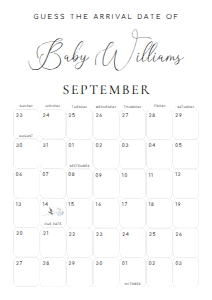 QSC-WHT-10-B2824 - QUINN SCRIPT - WHITE - GUESS THE ARRIVAL DATE GAME SIGN - A1: QSC-WHT-10-B2824 - QUINN SCRIPT - WHITE - GUESS THE ARRIVAL DATE GAME SIGN