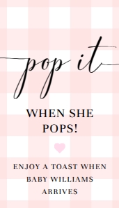 GIN-PNK-6-B2829 - GINGHAM - PINK - POP IT TAG - 2" x 3.5": GIN-PNK-6-B2829 - GINGHAM - PINK - POP IT TAG