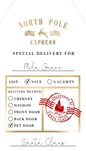 NRP-WHT-6-B1391 - NORTH POLE - WHITE - NORTH POLE EXPRESS GIFT TAG - 2" x 3.5": NRP-WHT-6-B1391 - NORTH POLE - WHITE - NORTH POLE EXPRESS GIFT TAG