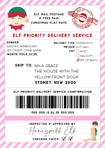 SAW-PNK-6-B2939 - SANTAS WORKSHOP - PINK - ELF SHIPPING LABEL - A4: SAW-PNK-6-B2939 - SANTAS WORKSHOP - PINK - ELF SHIPPING LABEL