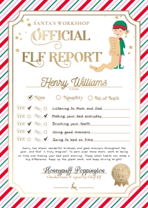 STR-PMT-24-B3393 - STRIPE - PINK MULTI - ELF REPORT CARD - 5" x 7": STR-PMT-24-B3393 - STRIPE - PINK MULTI - ELF REPORT CARD
